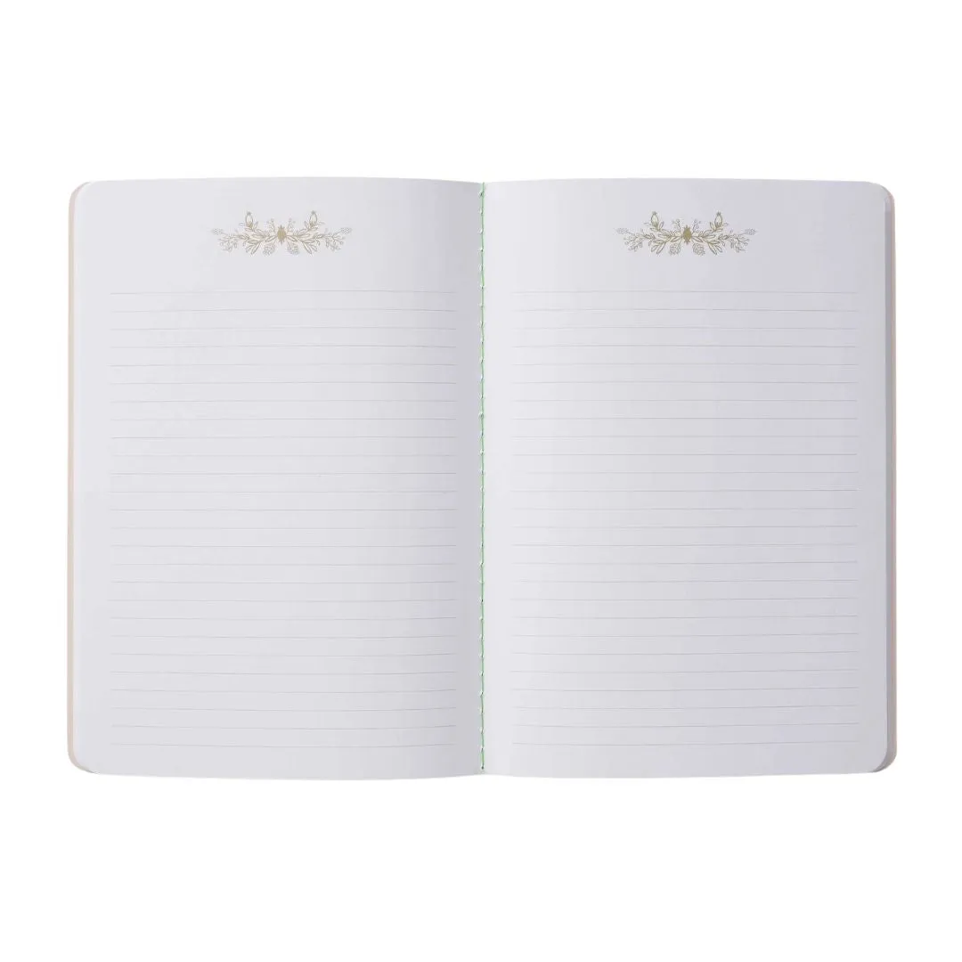 Assorted Curio Notebooks (Set of 3)