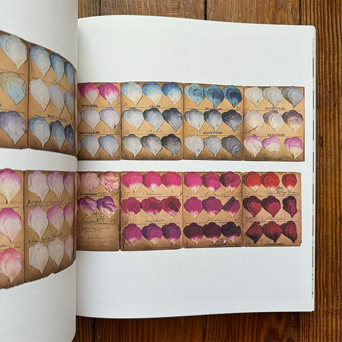 Color Charts - A History - Anne Varichon
