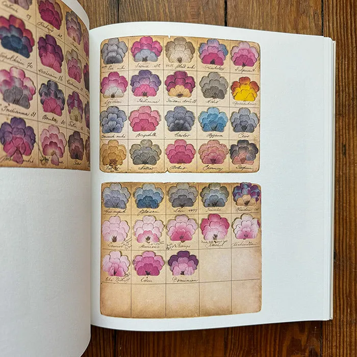 Color Charts - A History - Anne Varichon