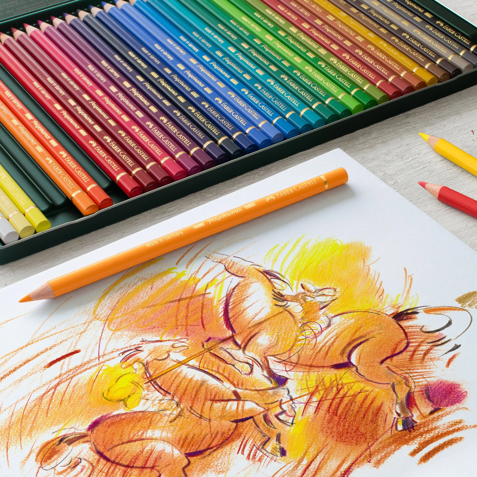 Faber-Castell Polychromos Artists Pencil - Set of 36