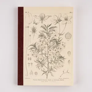 Hobonichi Plain Notebook [Tomitaro Makino: Yamazakura] A5