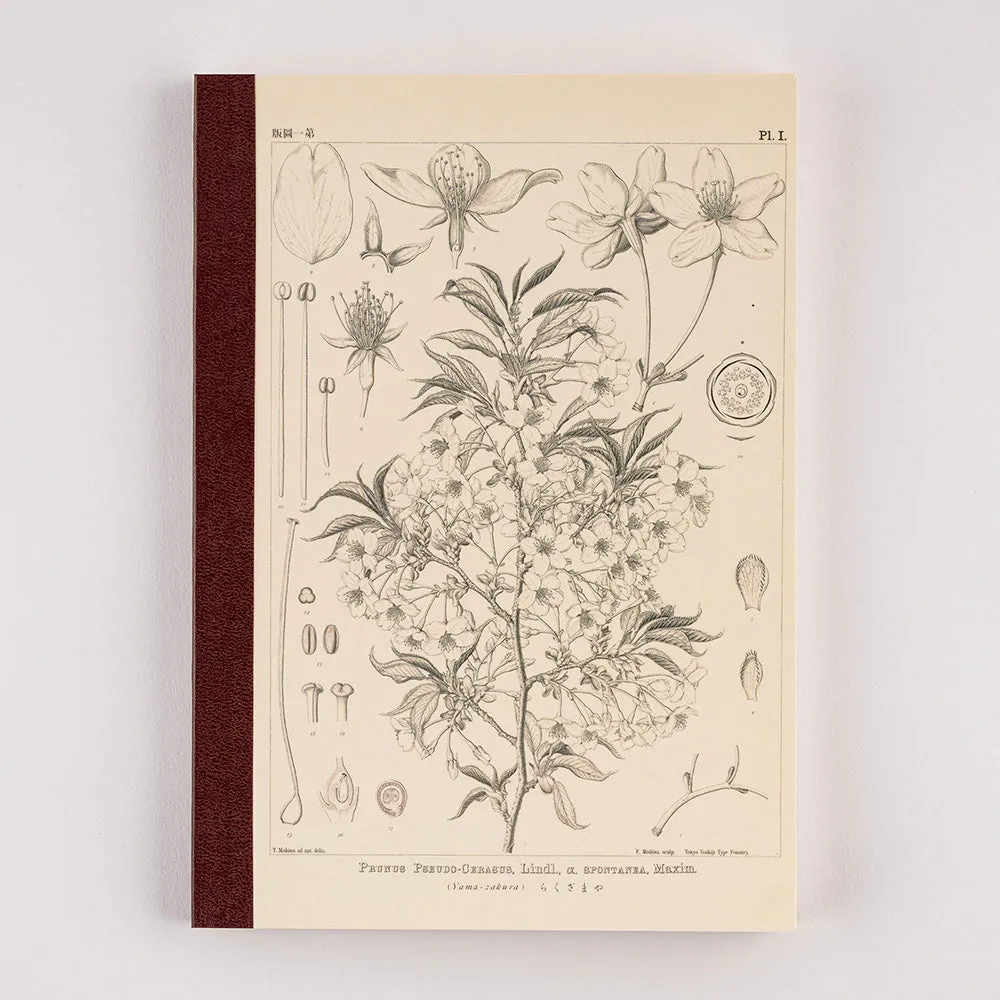 Hobonichi Plain Notebook [Tomitaro Makino: Yamazakura] A5