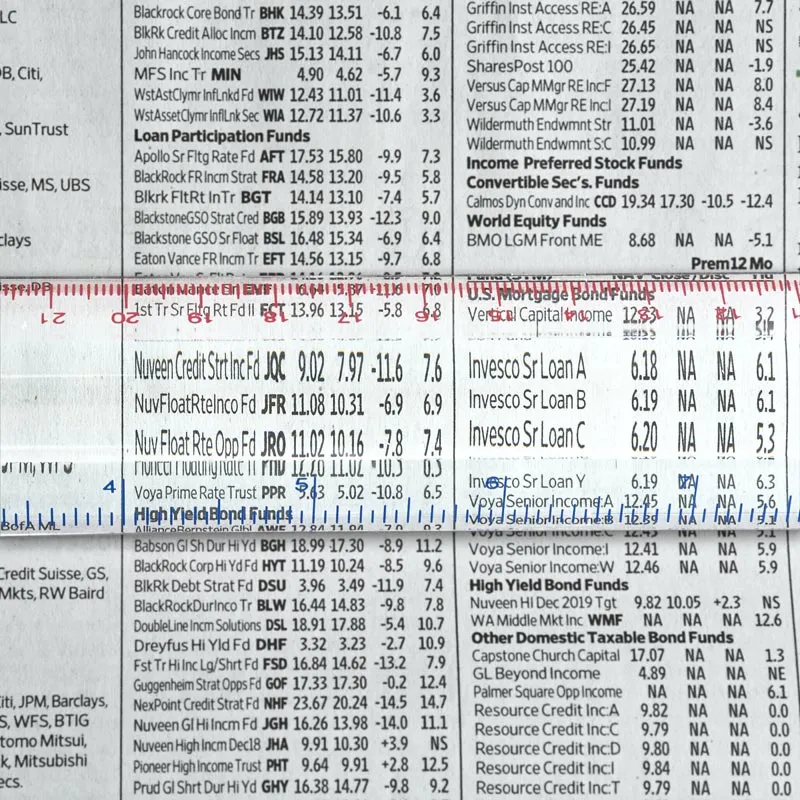Magnifier Ruler