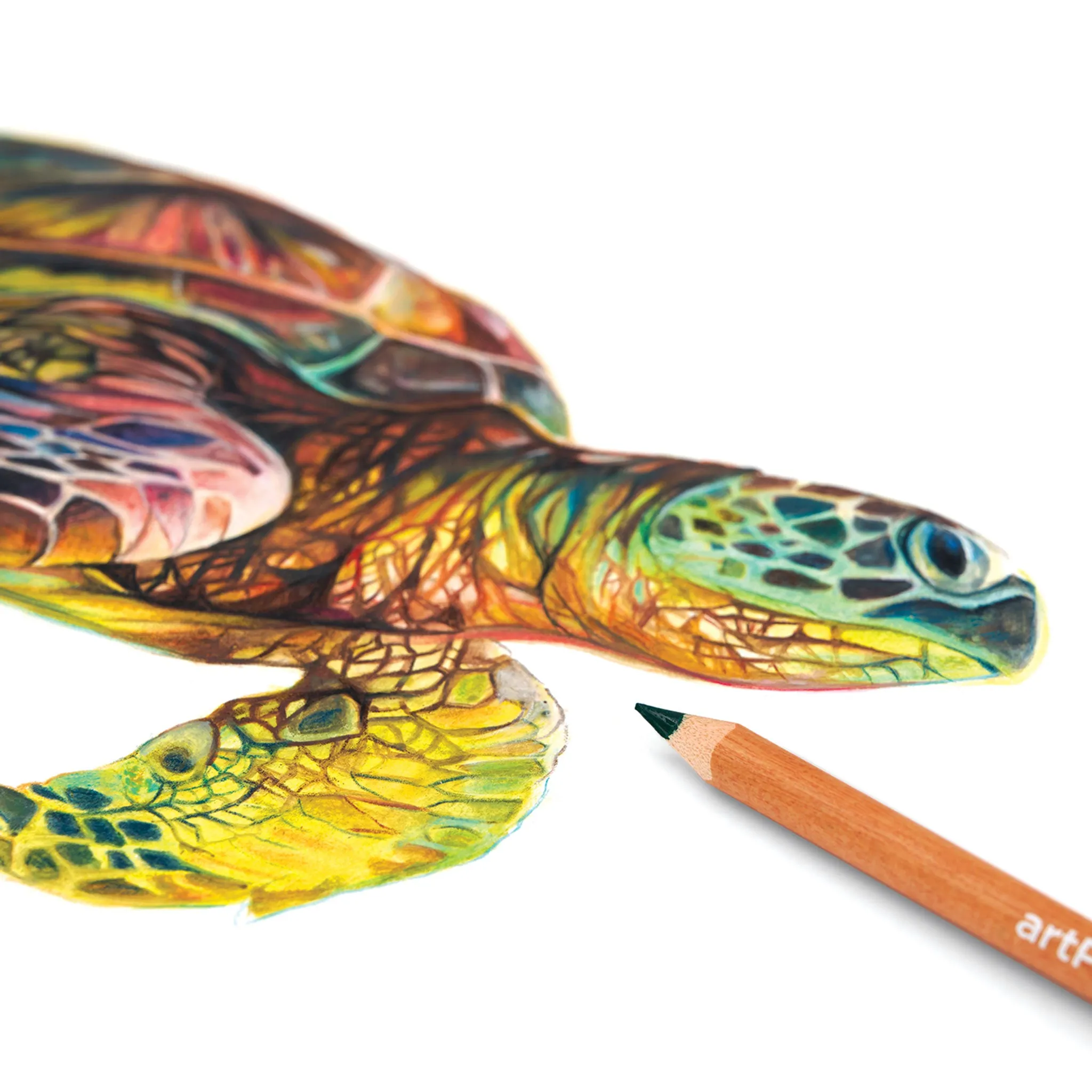 Premium Plus Watercolor Pencils - Set of 48