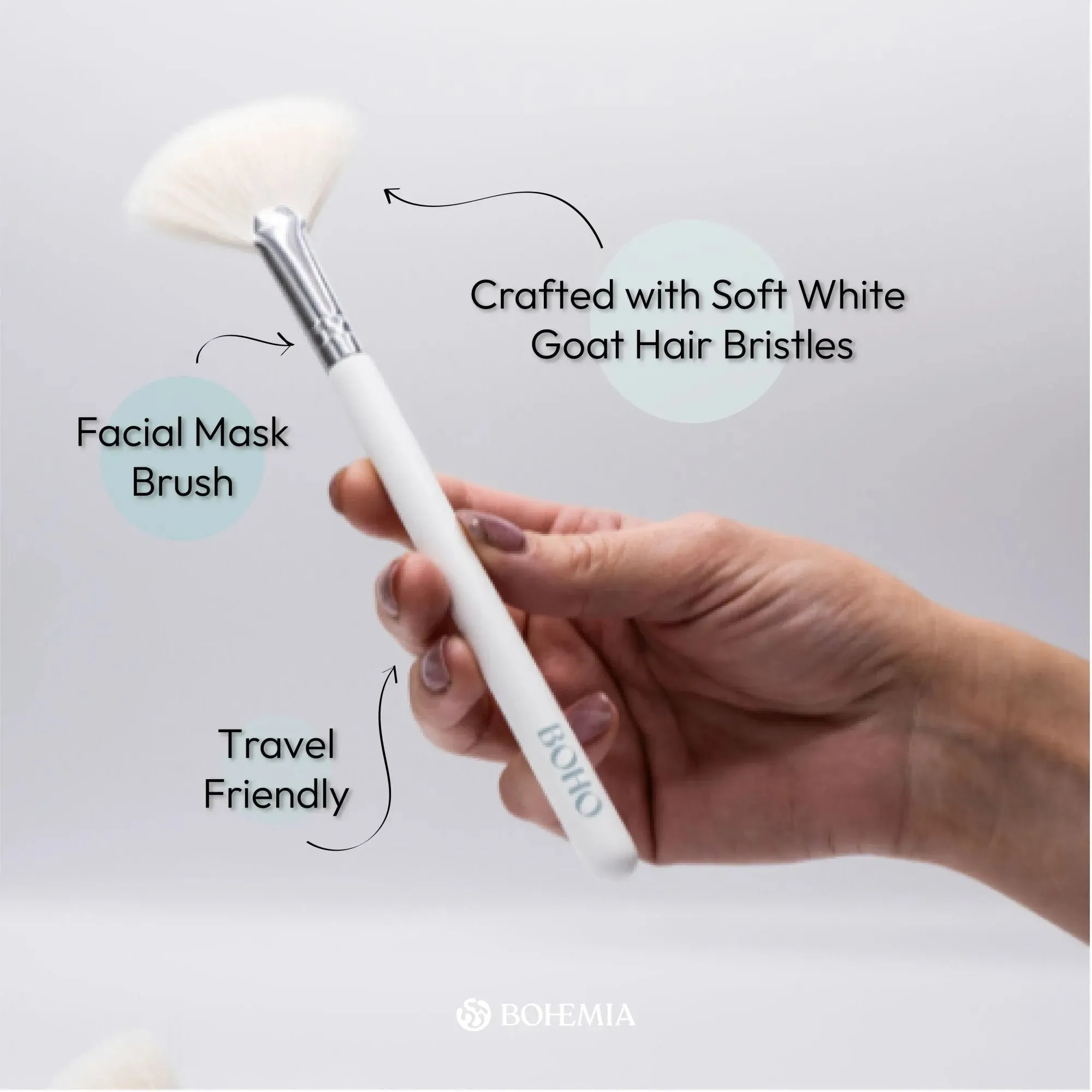 Regular Size Fan Brush