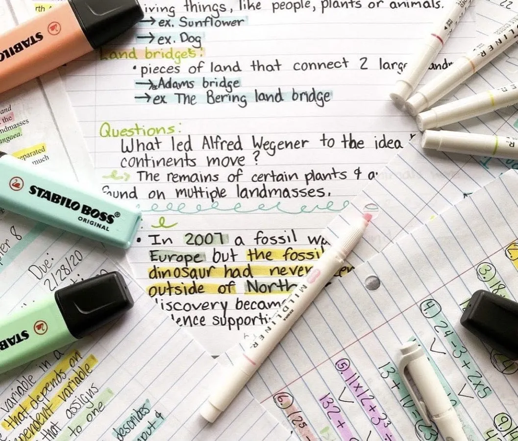Stabilo BOSS Highlighters (individual)