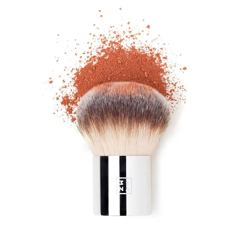 The Kabuki Brush