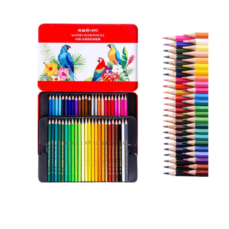 Water-Soluble Pencil 24-Color Painting