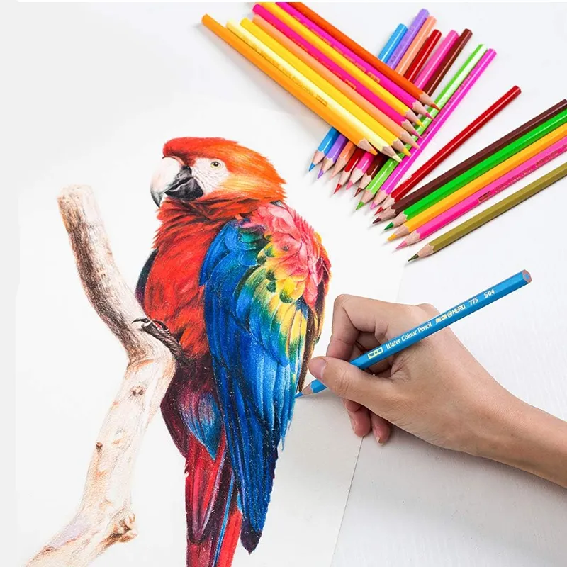 Water-Soluble Pencil 24-Color Painting